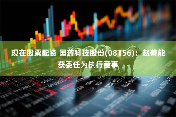 现在股票配资 国药科技股份(08156)：赵善能获委任为执行董事